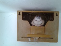 /album/galeria-de-fotos/a2012-12-30-15-00-35-jpg/